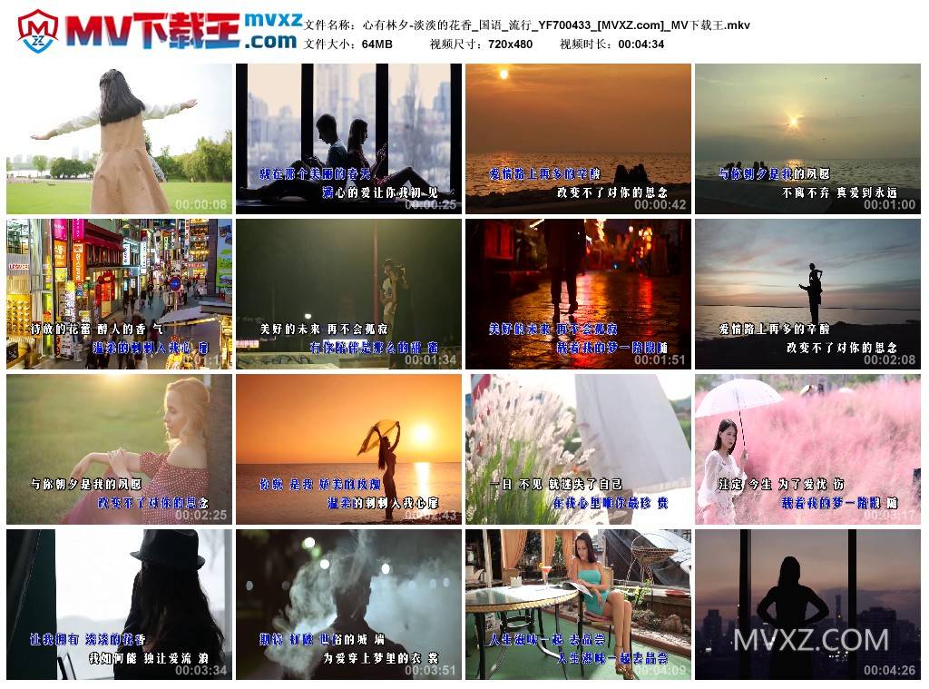心有林夕-淡淡的花香_国语_流行_YF700433